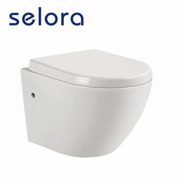 small bathroom wall hung toilet with american standard